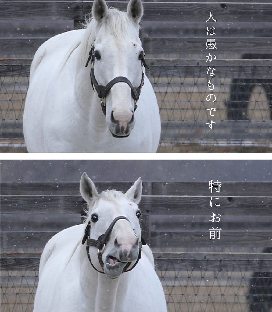 f:id:emiriox:20220421214649j:image