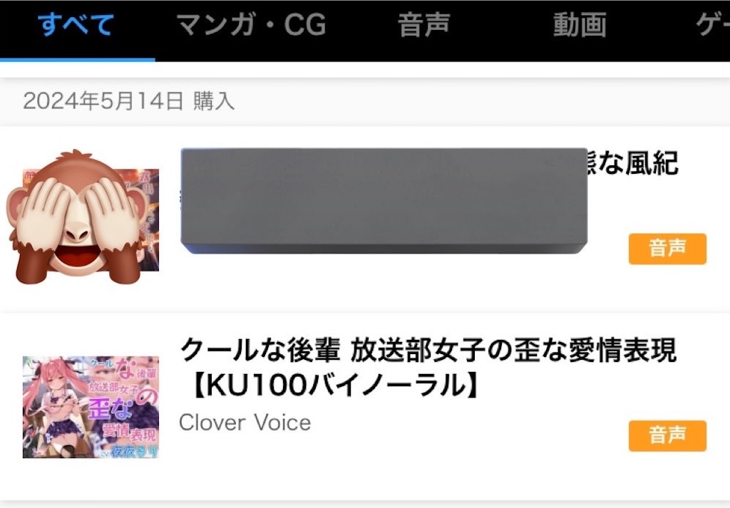 f:id:emiriox:20240712045549j:image