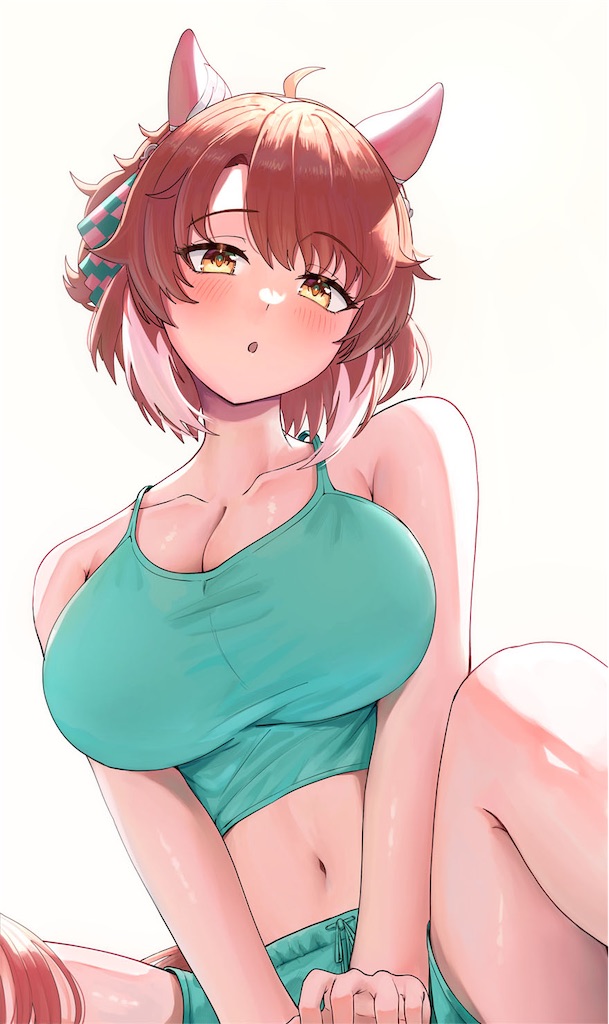 f:id:emiriox:20241219022820j:image f:id:emiriox:20241219022820j:image