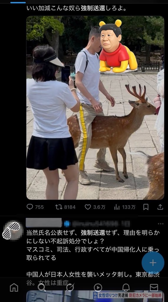 f:id:emiriox:20250524072828j:image