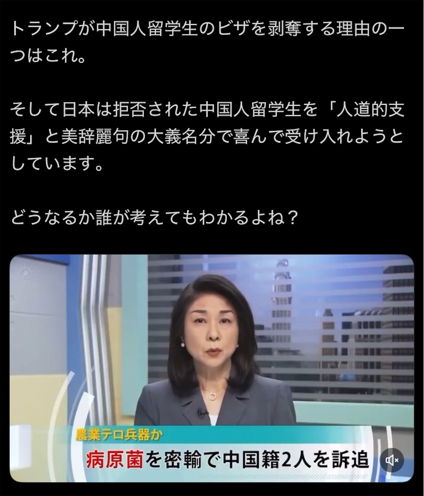 f:id:emiriox:20250609105034j:image