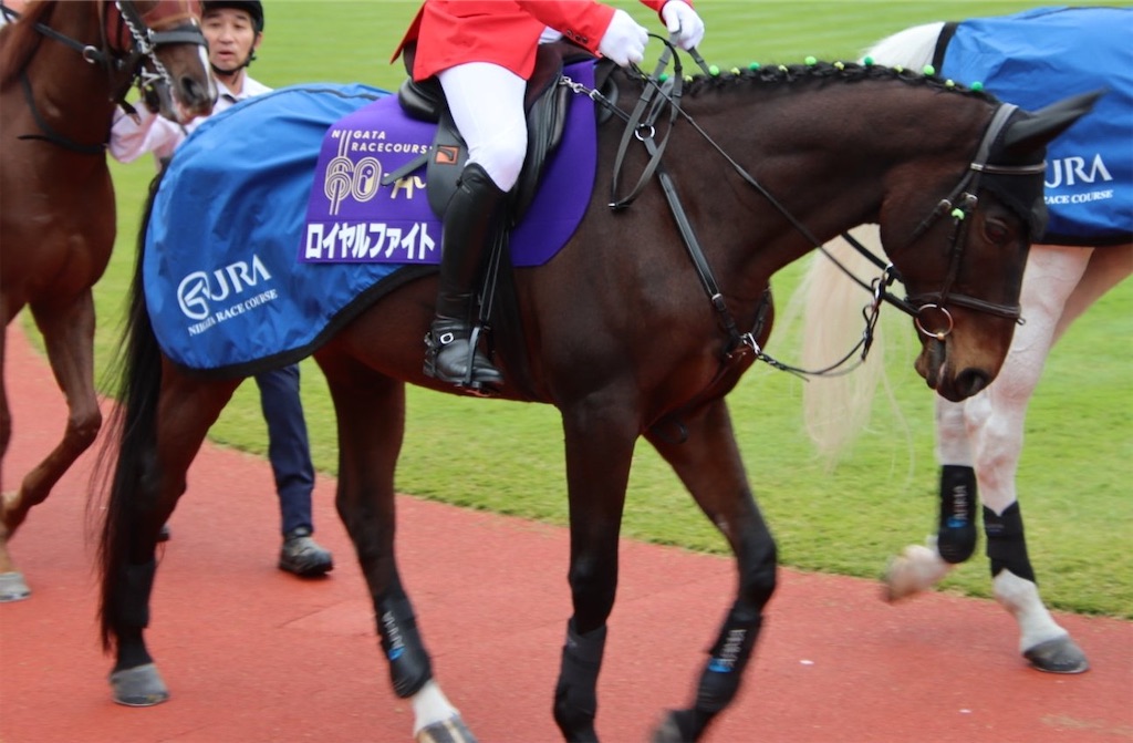 f:id:emiriox:20251029005354j:image