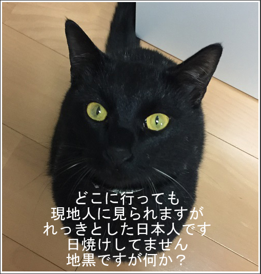 f:id:emise:20180514225812j:plain