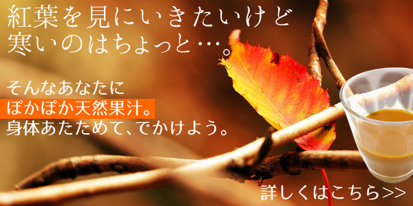 f:id:emitemit:20151128152237j:plain