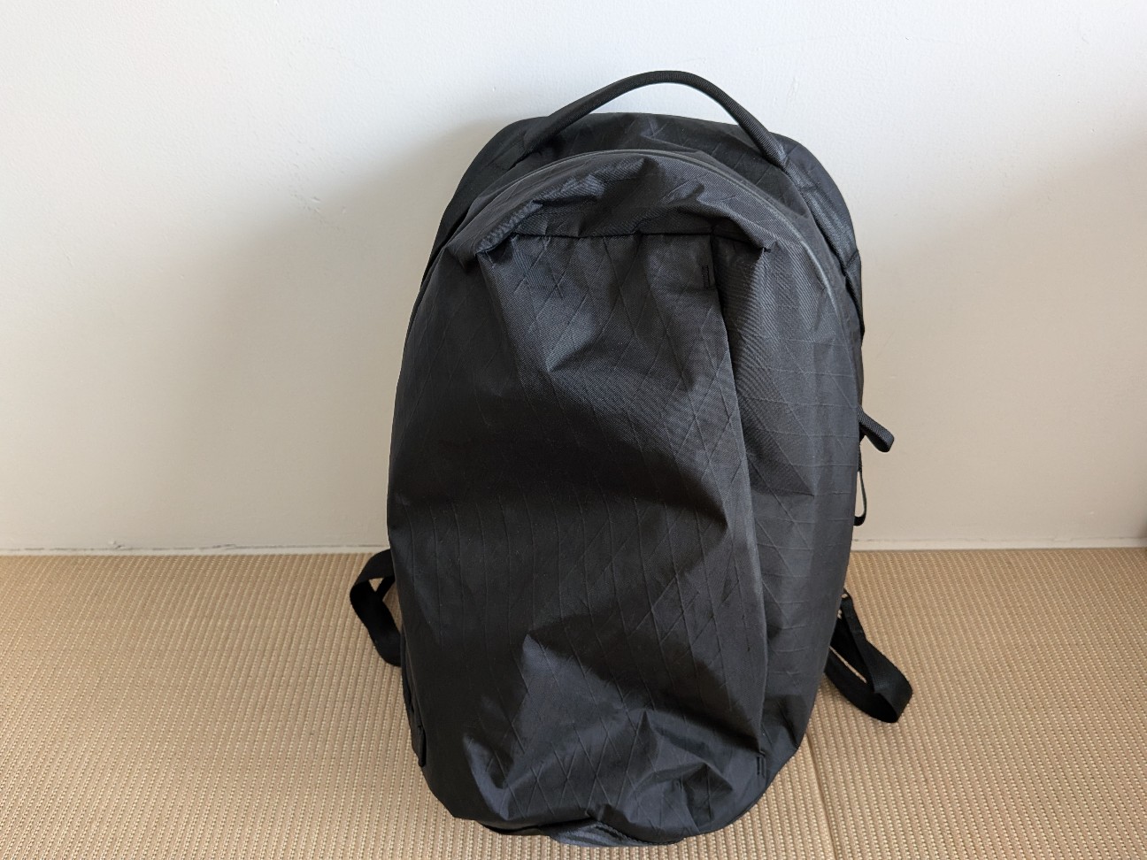 ABLE CARRY Daily Plus