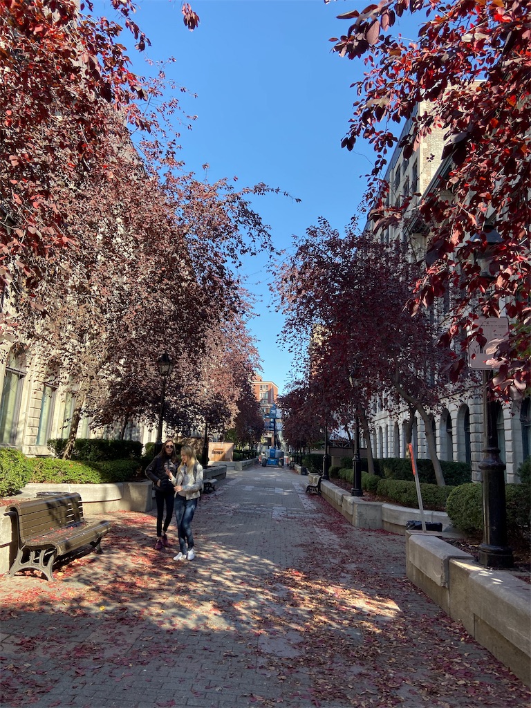 f:id:emma_0301:20191114125838j:image f:id:emma_0301:20191114125838j:image