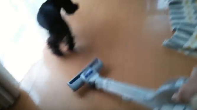 f:id:emmapapa:20161218222210j:plain f:id:emmapapa:20161218222210j:plain