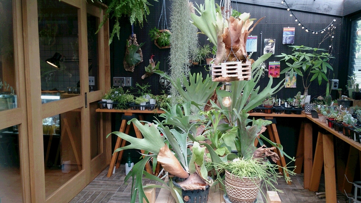 f:id:emmarsch:20190721233512j:plain