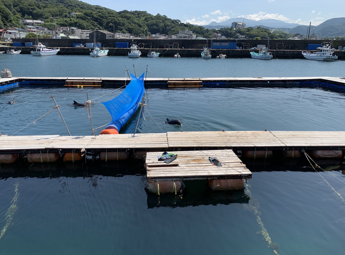 f:id:emmarsch:20190808125048p:plain