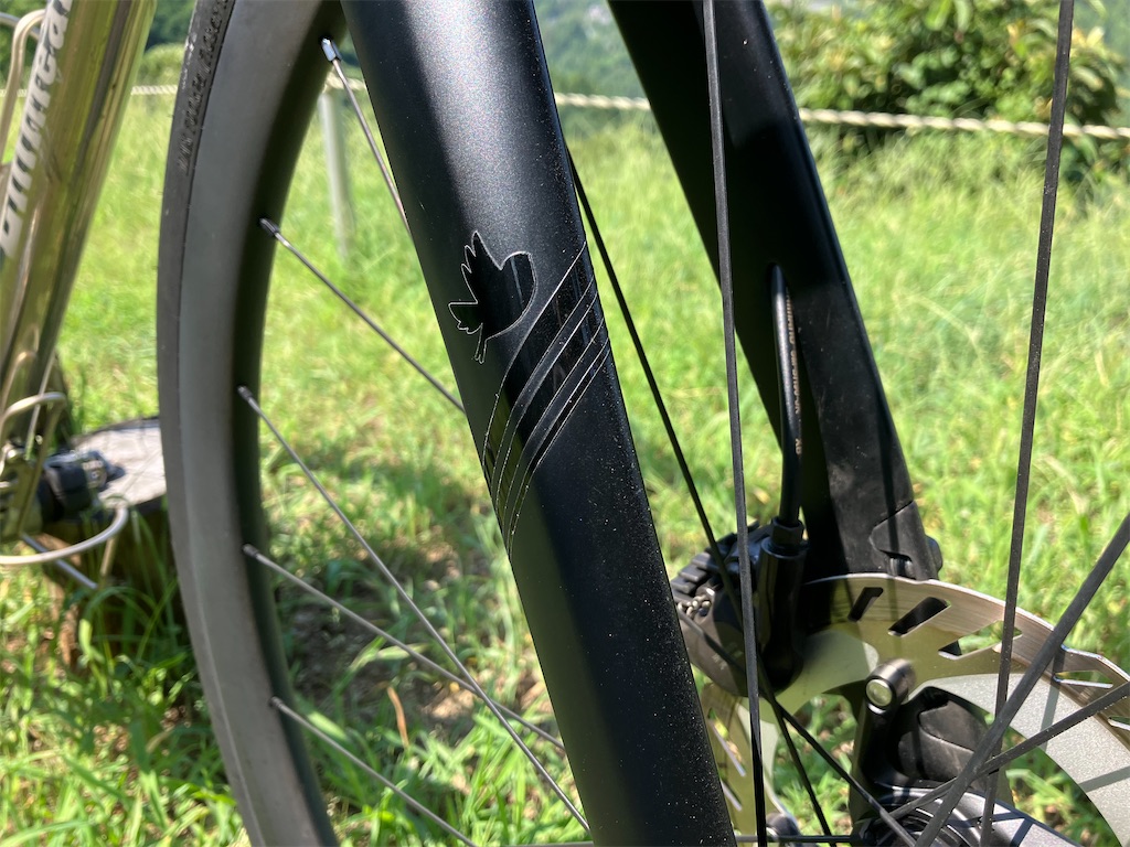 f:id:emmeakka:20250831202310j:image