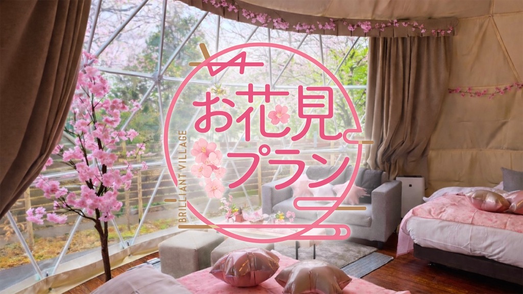 f:id:emmi_emmi:20260322212908j:image f:id:emmi_emmi:20260322212908j:image