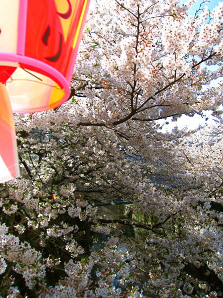 f:id:emmy0425:20120410133058j:image:w360 f:id:emmy0425:20120410133058j:image:w360