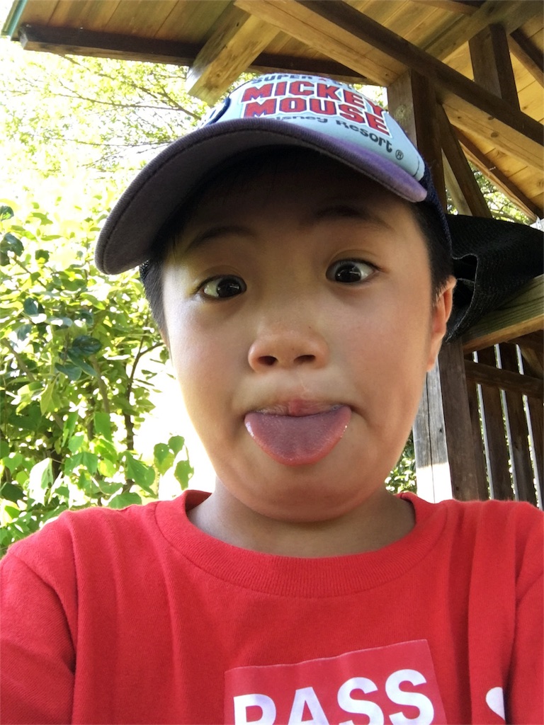 f:id:emo-lab:20180903170545j:image f:id:emo-lab:20180903170545j:image