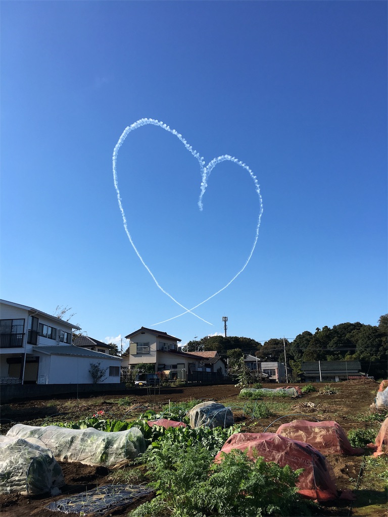 f:id:emo-lab:20180911091442j:image