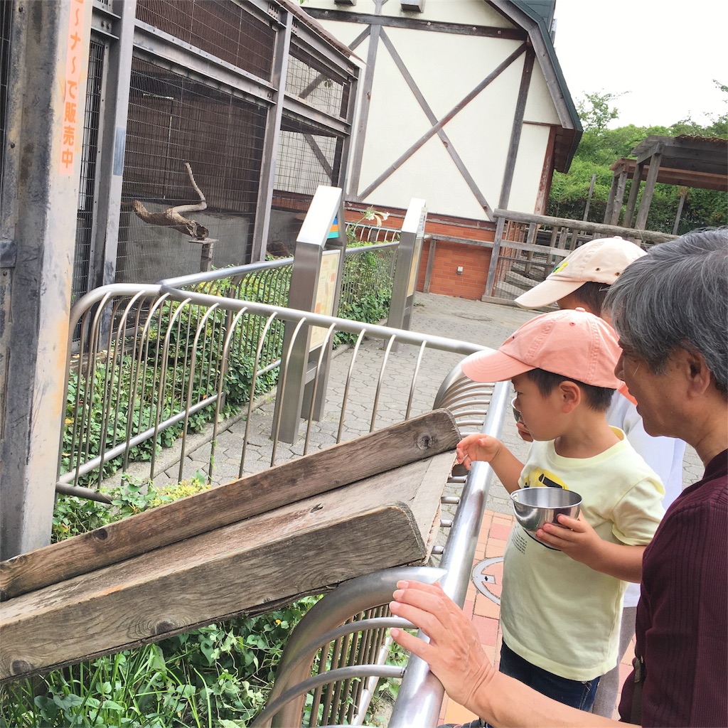 f:id:emo-lab:20180927134548j:image