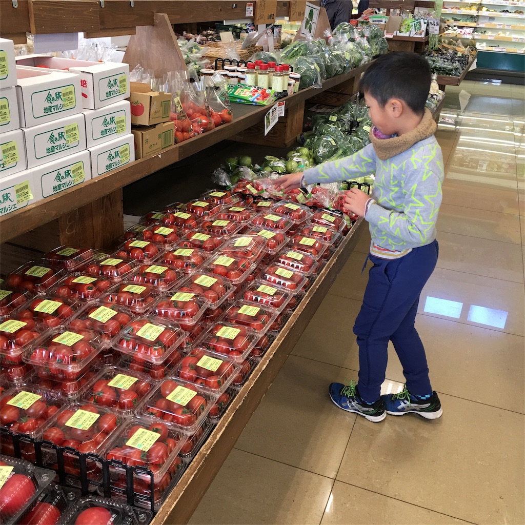 f:id:emo-lab:20181129130428j:image