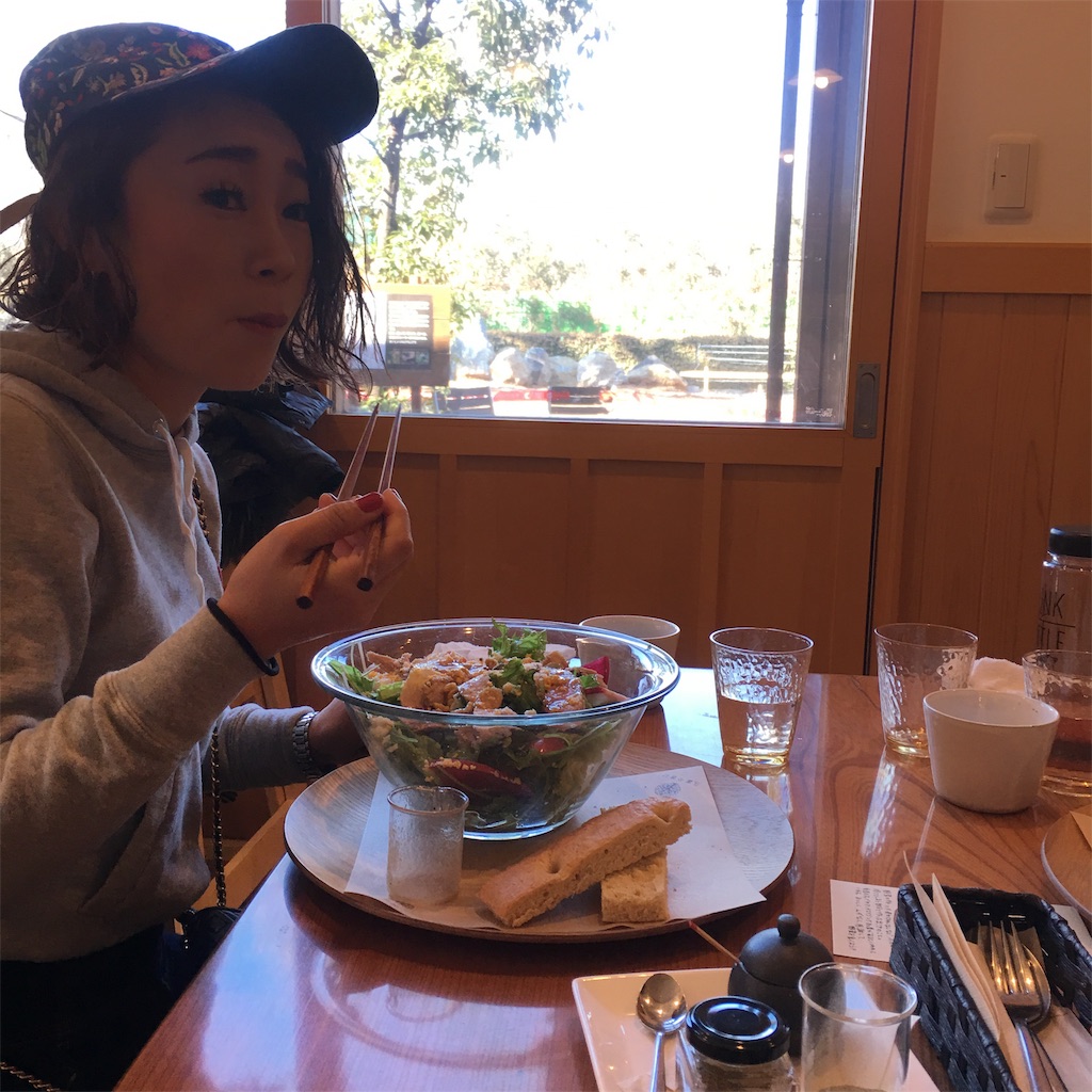 f:id:emo-lab:20190210231606j:image