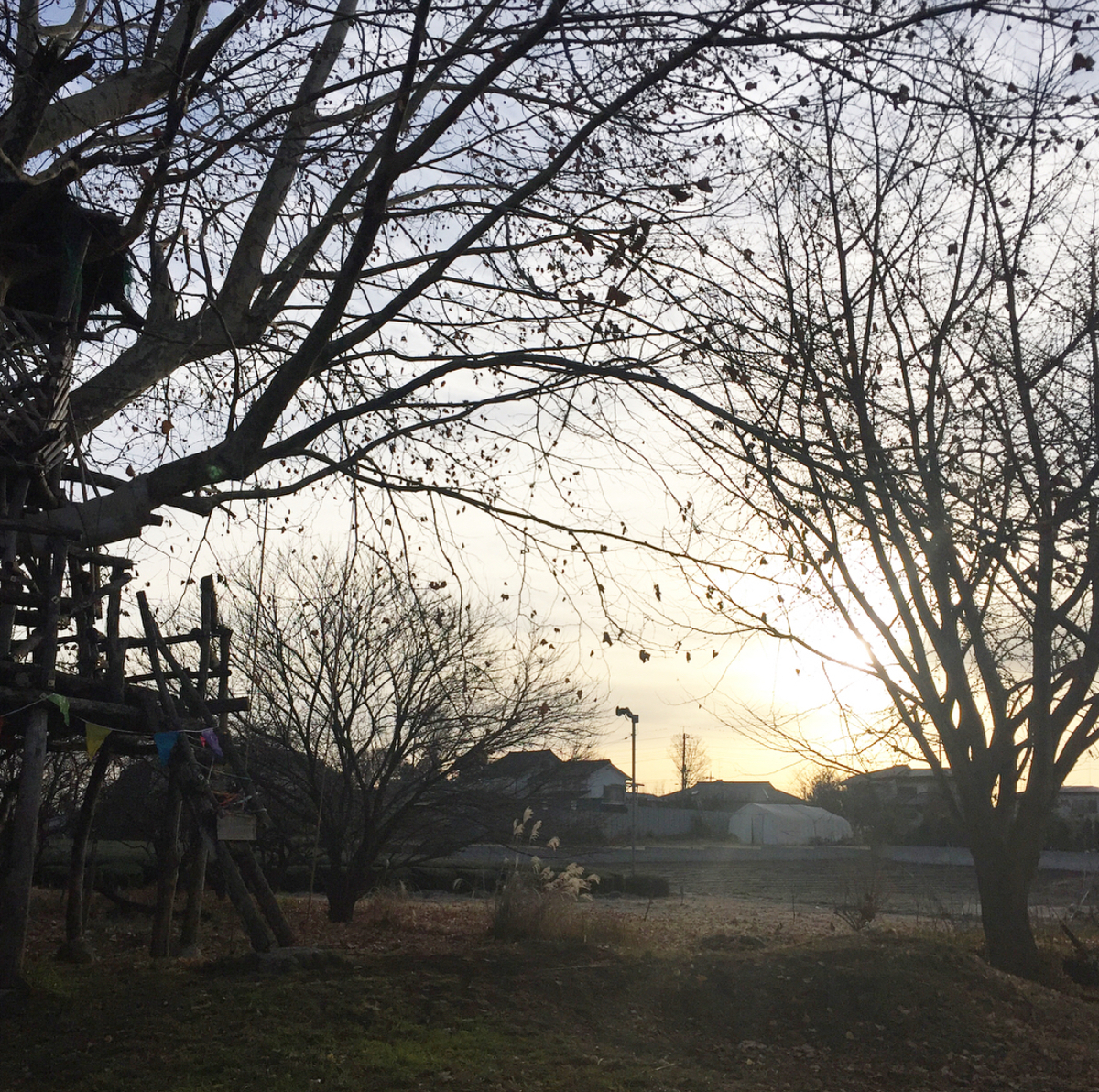 f:id:emo-lab:20190318095412j:plain