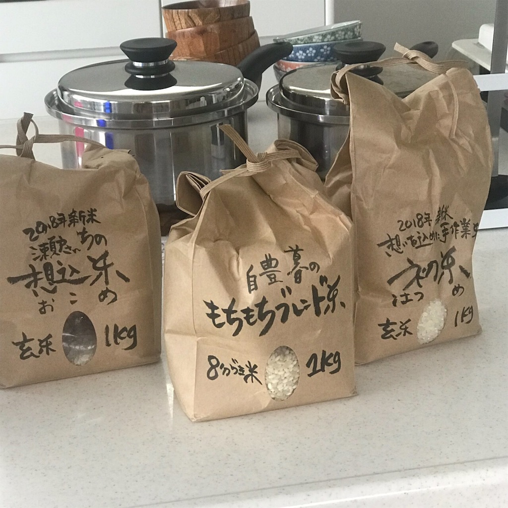 f:id:emo-lab:20190330083413j:image