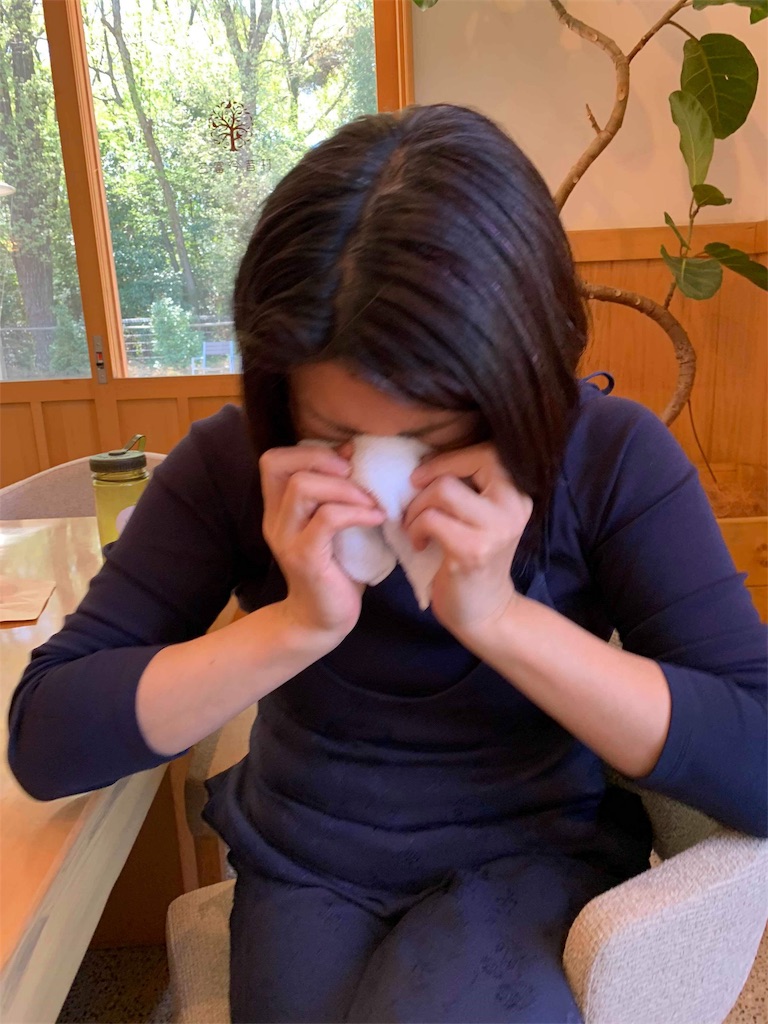 f:id:emo-lab:20190418204621j:image