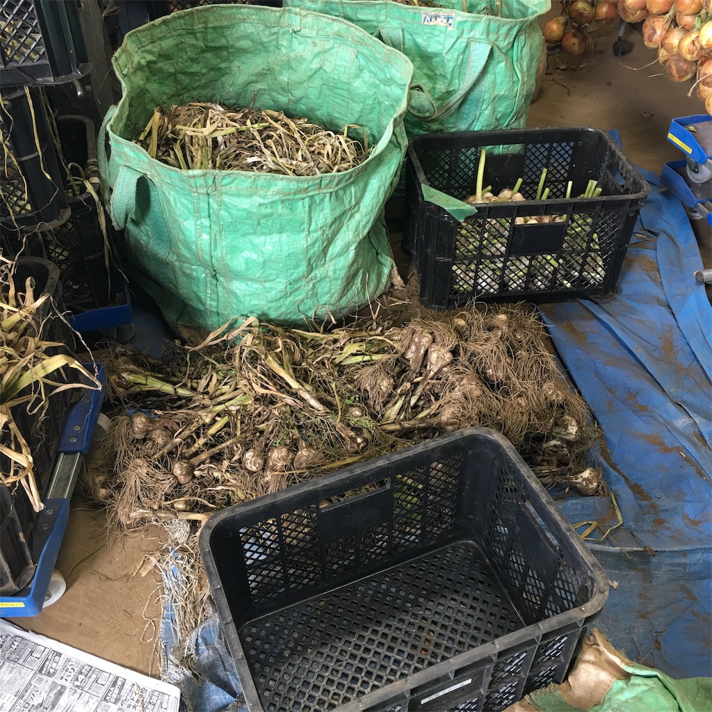 f:id:emo-lab:20190616165739j:image