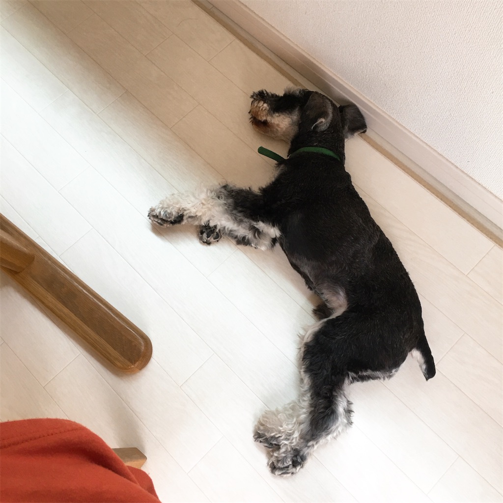 f:id:emo-lab:20200603141124j:image f:id:emo-lab:20200603141124j:image