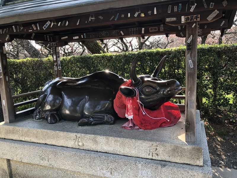 f:id:emo0325:20200319162433j:plain f:id:emo0325:20200319162433j:plain