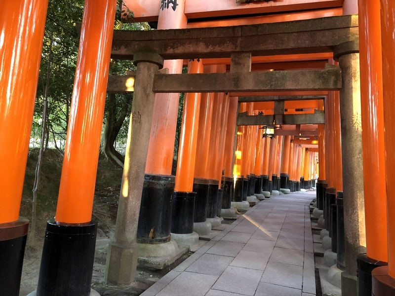 f:id:emo0325:20200319162614j:plain f:id:emo0325:20200319162614j:plain