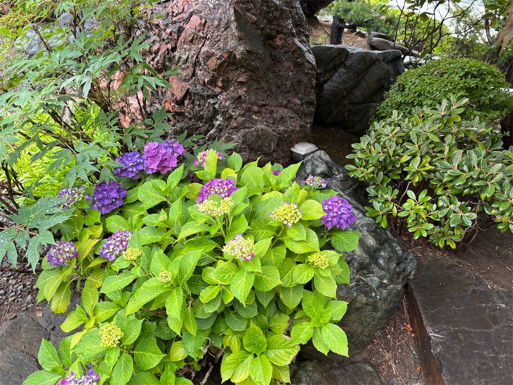 f:id:emoto-otome:20260714105551j:image f:id:emoto-otome:20260714105551j:image
