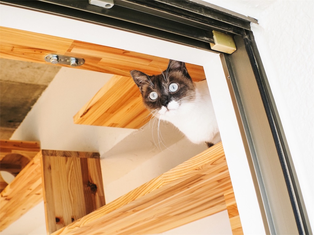 Airjam16 ワンオクについてハイスタの難波さんと10 Feetのタクマさんがtwitterで発言 ちゃんくさの人生を楽しくしていく雑記ブログ