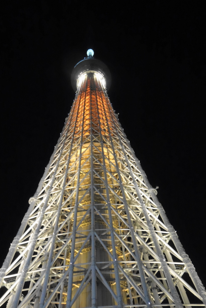 マクロスΔ レイナ アクリルパネル スカイツリー Walküre MACROSS