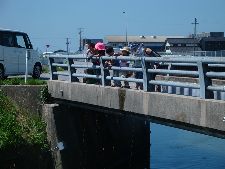 f:id:emtown:20160718084804j:plain