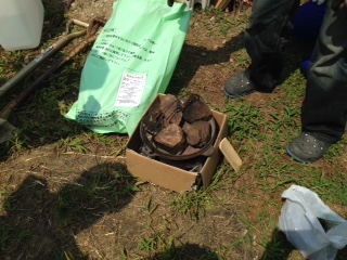 f:id:emtown:20160802131930j:plain f:id:emtown:20160802131930j:plain