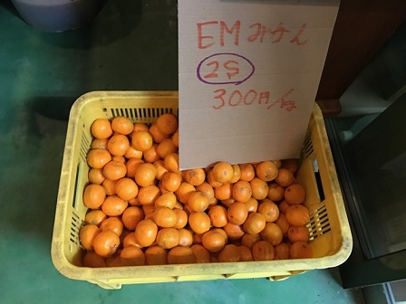 f:id:emtown:20161225185048j:plain f:id:emtown:20161225185048j:plain