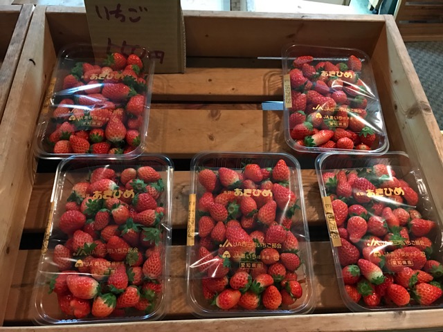 f:id:emtown:20170113194948j:plain f:id:emtown:20170113194948j:plain