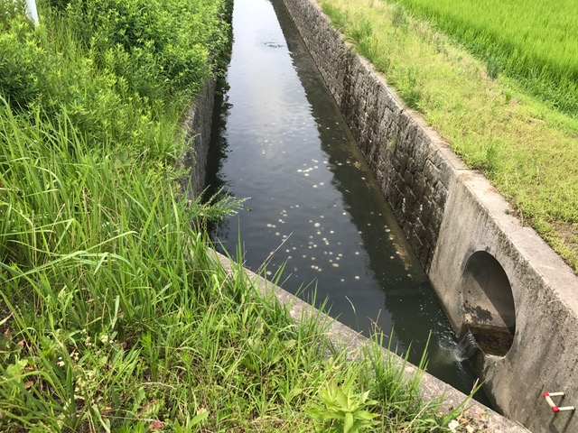 f:id:emtown:20170717103014j:plain