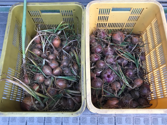 f:id:emtown:20190621184508j:plain f:id:emtown:20190621184508j:plain