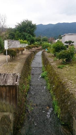 f:id:emu-water8:20171008095135j:plain f:id:emu-water8:20171008095135j:plain