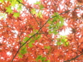 20130502003123