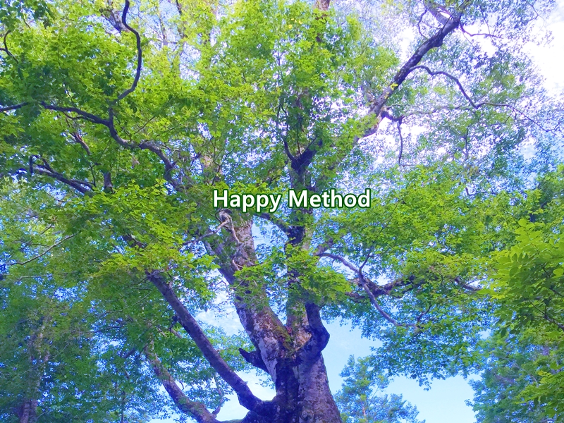 f:id:emu777:20180516233617j:plain f:id:emu777:20180516233617j:plain