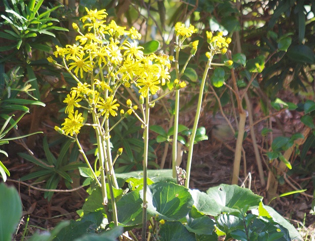 f:id:emukobb:20171027152348j:plain