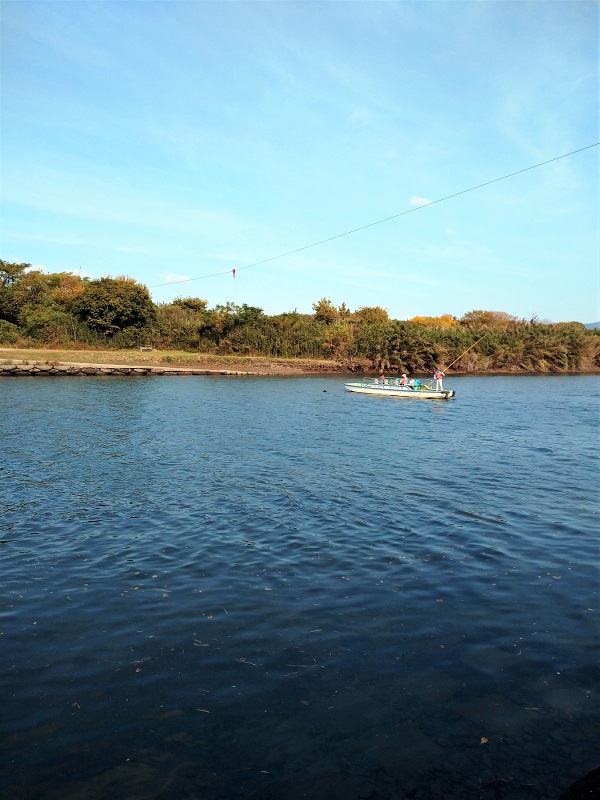f:id:emukobb:20201116115759j:plain
