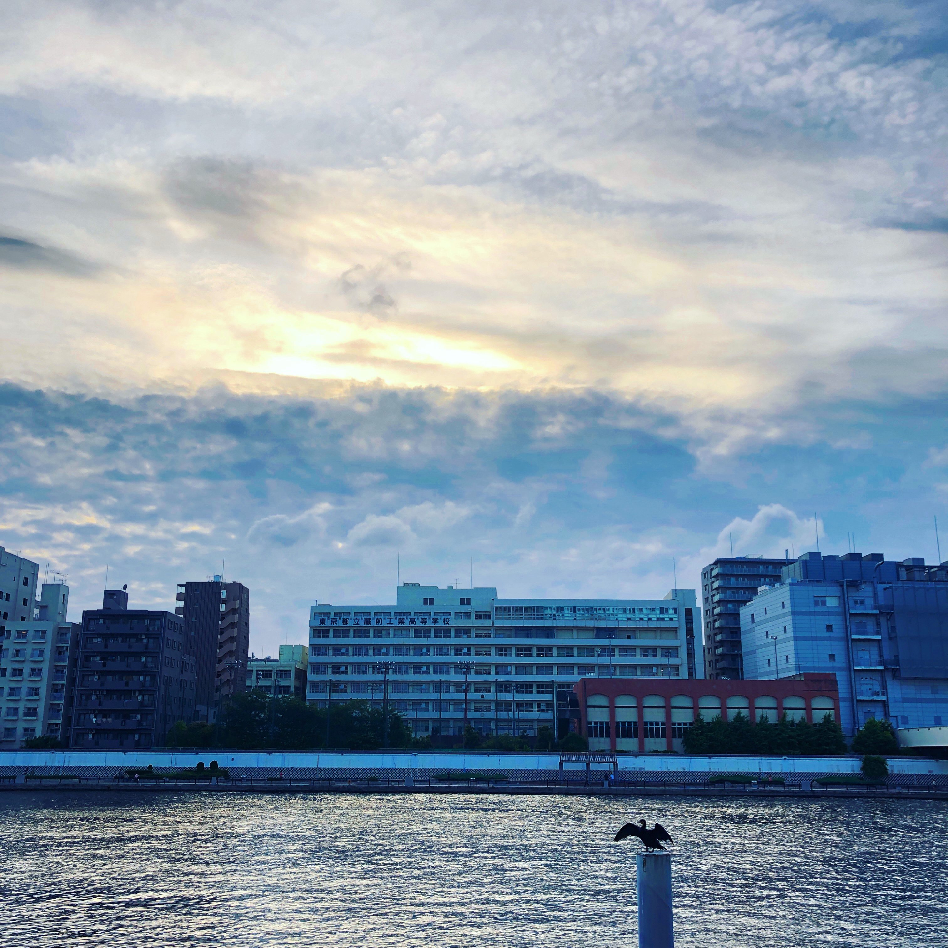 f:id:emustany:20210614142147j:plain