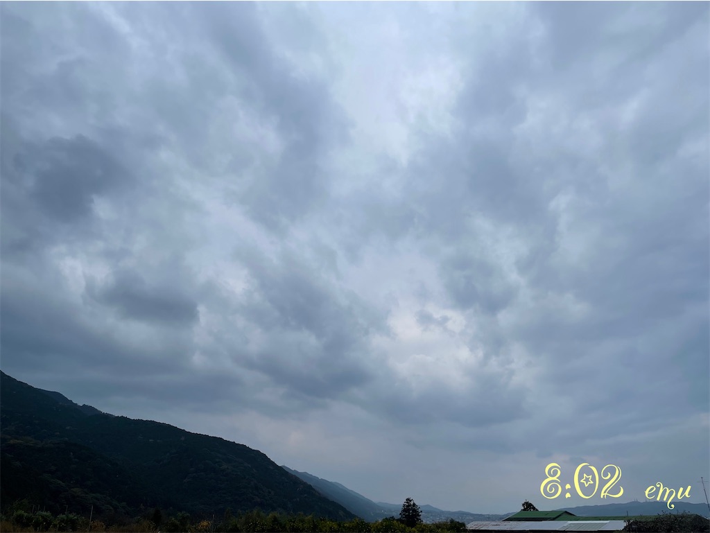 f:id:emuuuuun:20231130082839j:image f:id:emuuuuun:20231130082839j:image