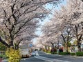 20190407154741
