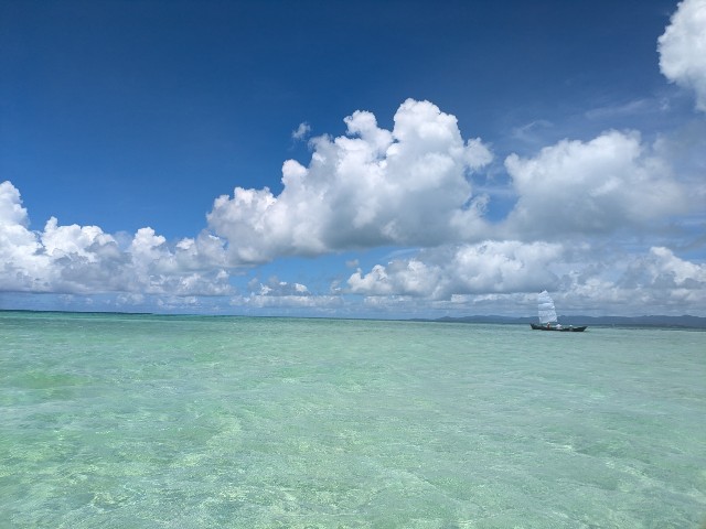f:id:en069245:20240713160203j:image f:id:en069245:20240713160203j:image