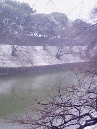 20080123161855