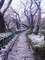 20080123161938