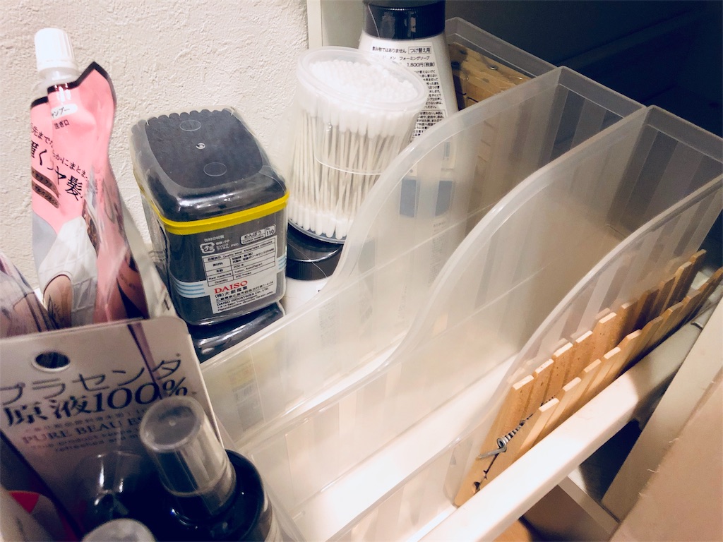 f:id:en_blaus:20190212232547j:image