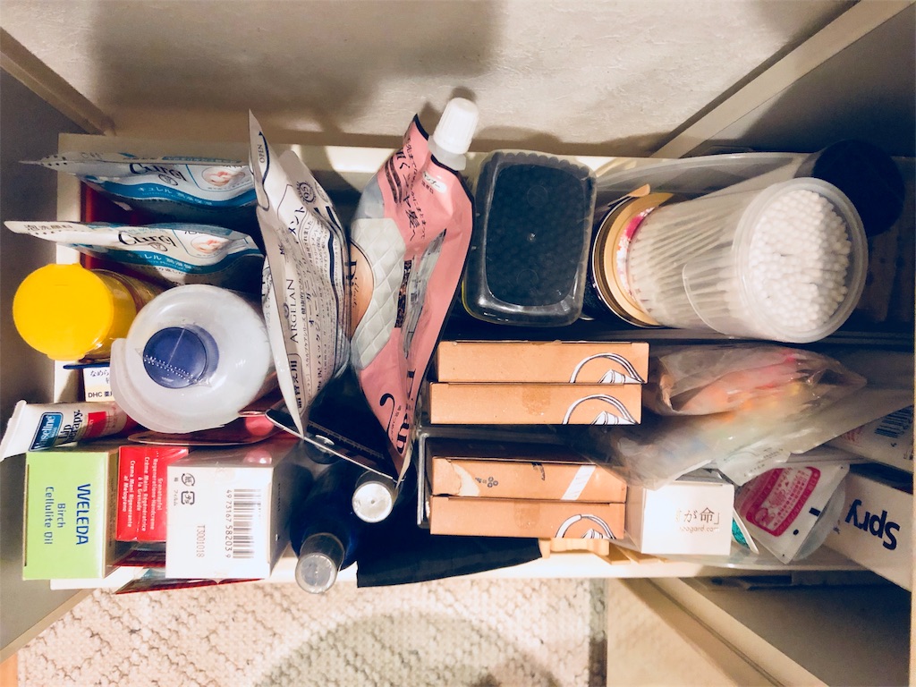 f:id:en_blaus:20190212232559j:image